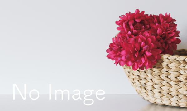 no-image